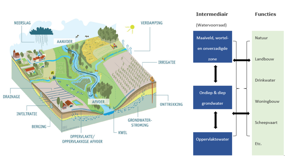Water vasthouden en bergen op landbouwpercelen | STOWA